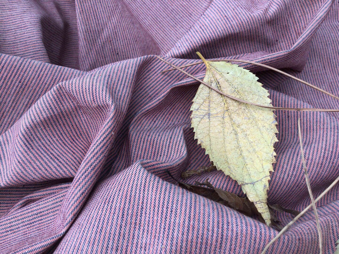 Ingrosso di tessuti denim a righe, cotone 100%,, tinto in diversi colori. 